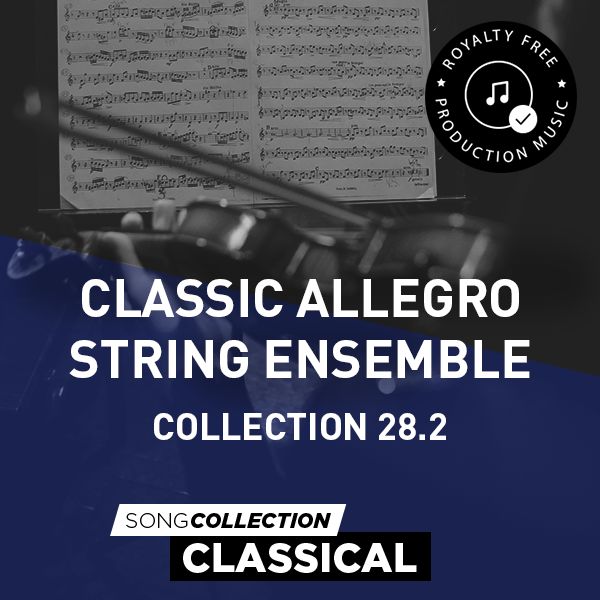 Classic Allegro String Ensemble - Collection 28.2