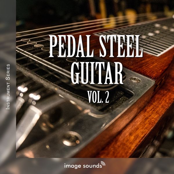 Pedal Steel Guitar 2