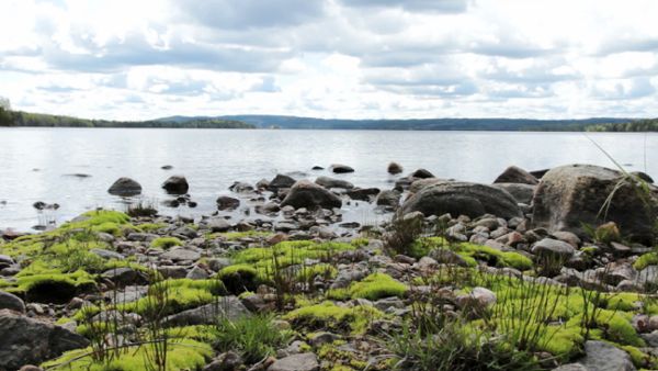 Rocky Beach