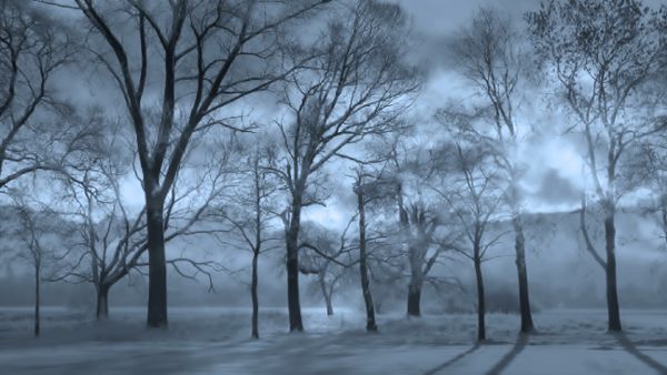 Fog over winter landscape