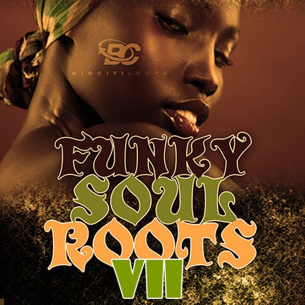 Funky Soul Roots 7