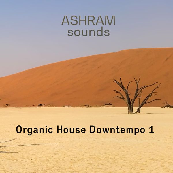 Organic House Downtempo 1