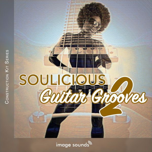Soulicious Guitar Grooves Vol. 2