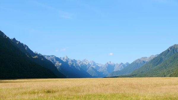 Fiordland Park