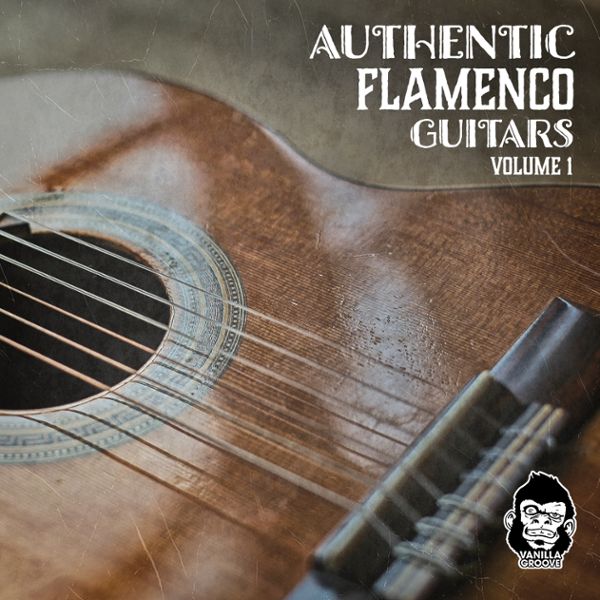 Authentic Flamenco Guitars Vol 1
