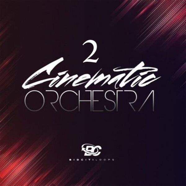 Cinematic Ethnic Orchestra 2