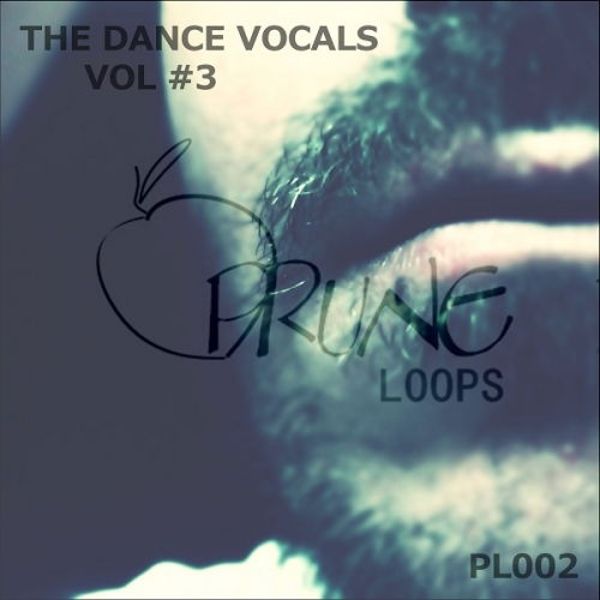 The Dance Vocals Vol 3