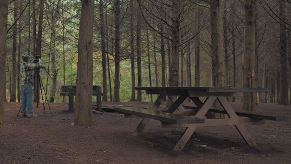 Photographer in a forest