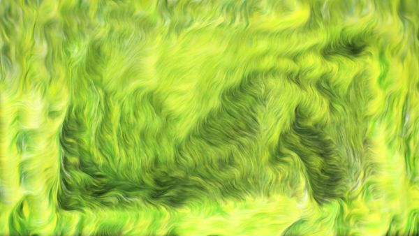 Abstract grass background
