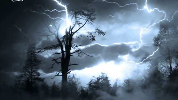 Lightning and trees