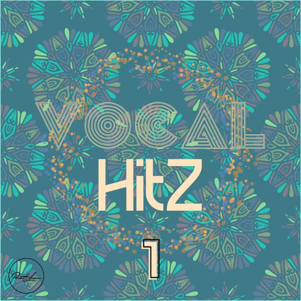 Vocal Hits Vol 1