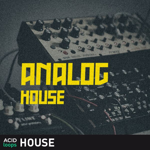 Analog House