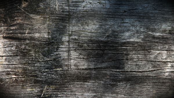 Wooden background