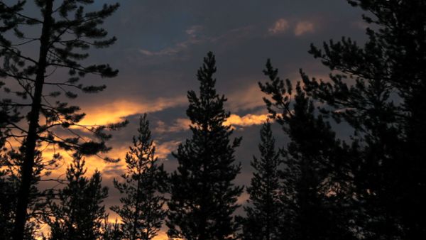 Evening Clouds