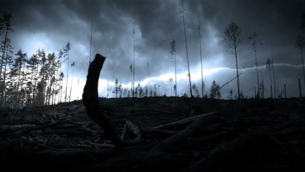 Lightning storm and trees