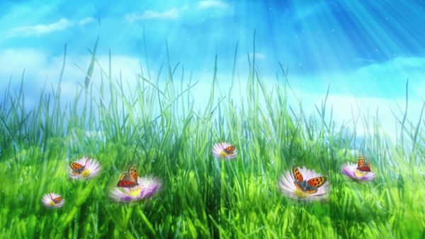 Butterflies And Green Meadow