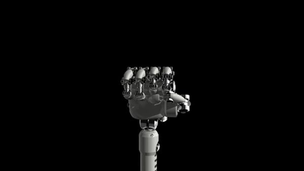 Robotic Hand