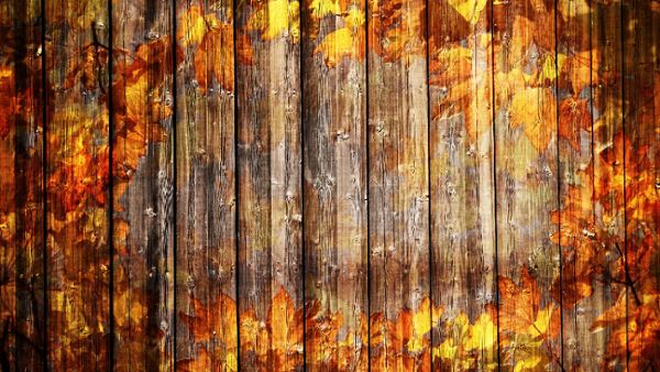 Wooden Autumn Background