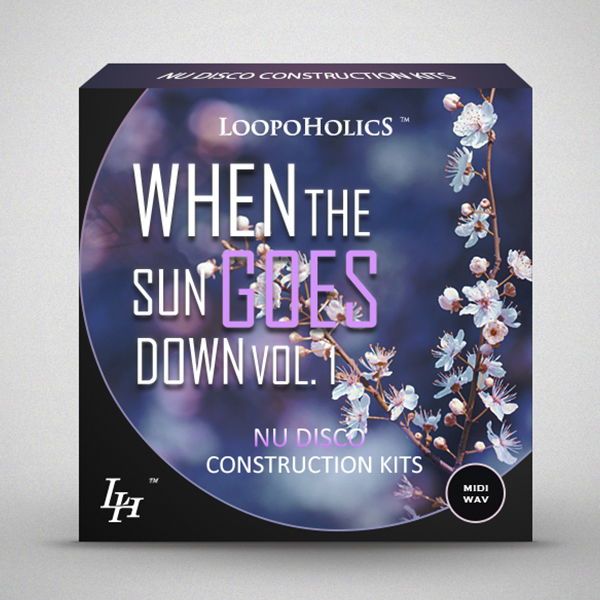 When The Sun Goes Down Vol 1: Nu Disco