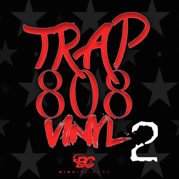 Trap 808 Vinyl 2