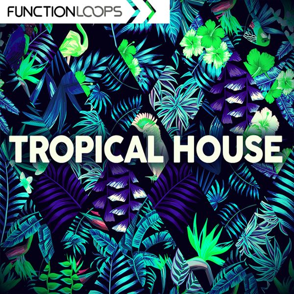 Function Loops: Tropical House
