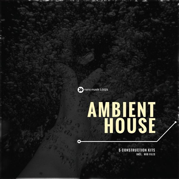 Ambient House