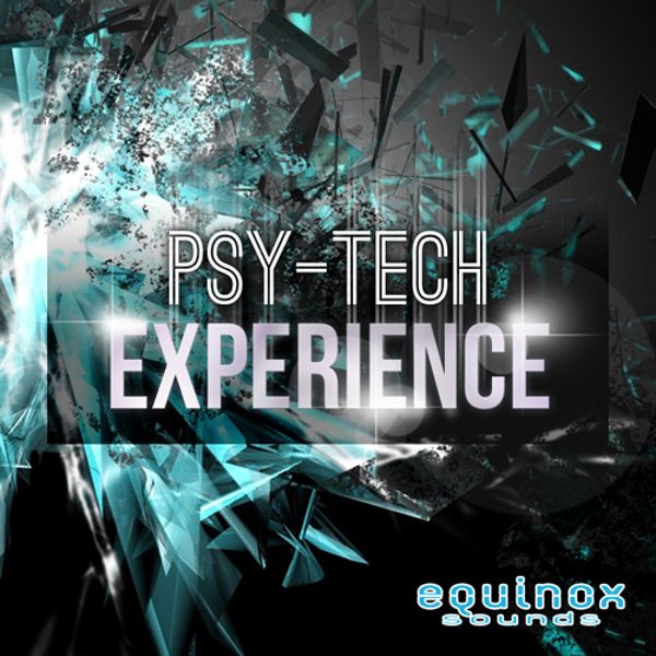 Psy-Tech Experience
