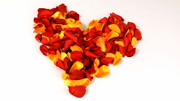 Heart Made of Rose Petals