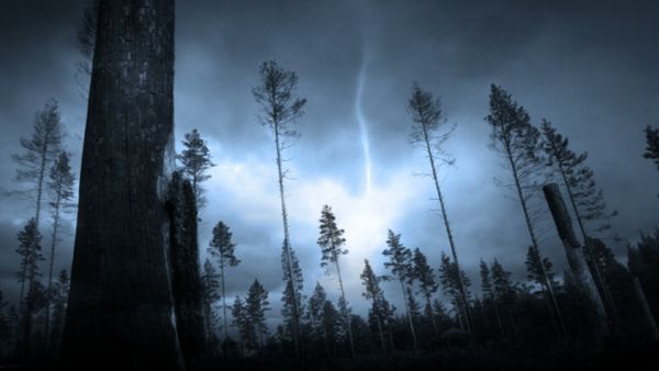 Lightning storm and trees