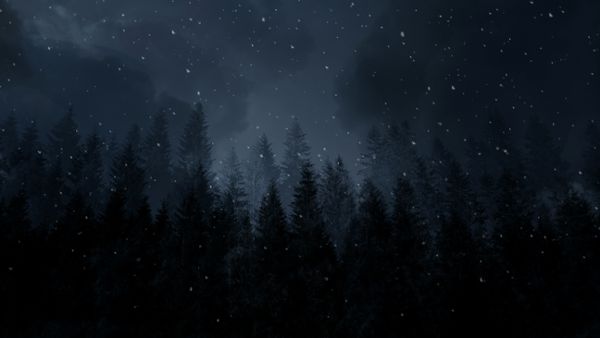 Dark Winter Night