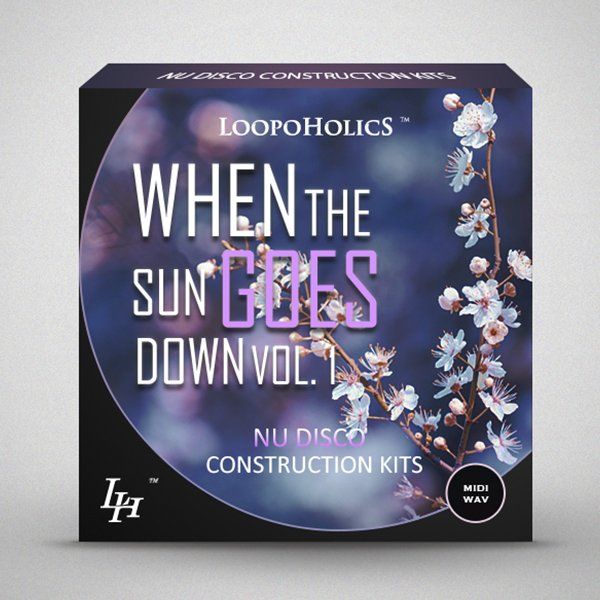 When The Sun Goes Down Vol 1: Nu Disco