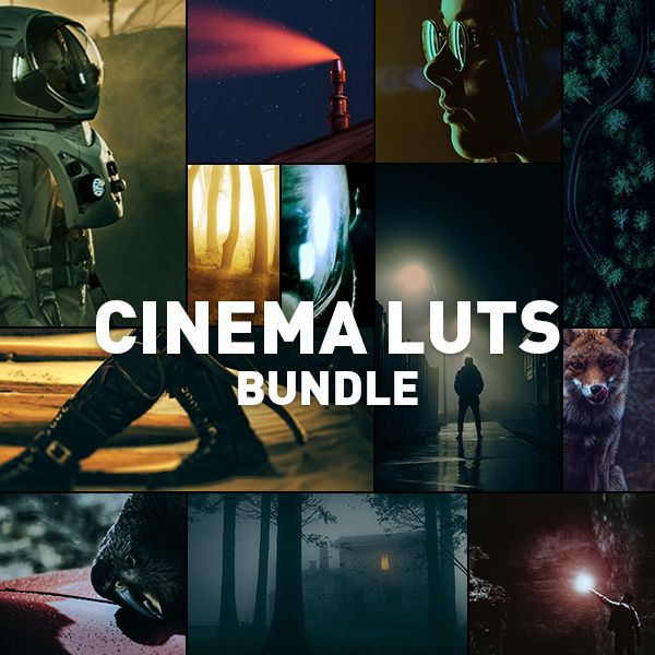 Cinema LUTs Bundle