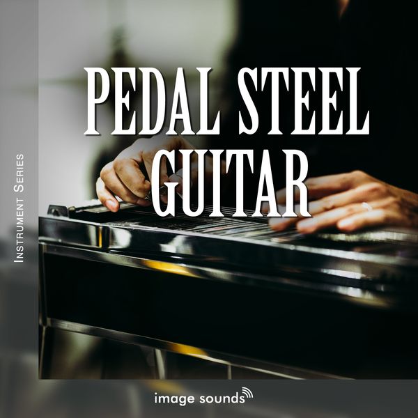Pedal Steel Guitar