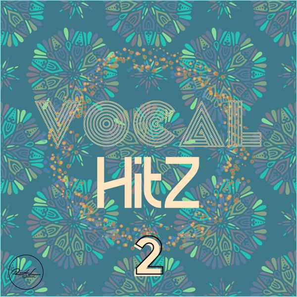 Vocal Hits Vol 2