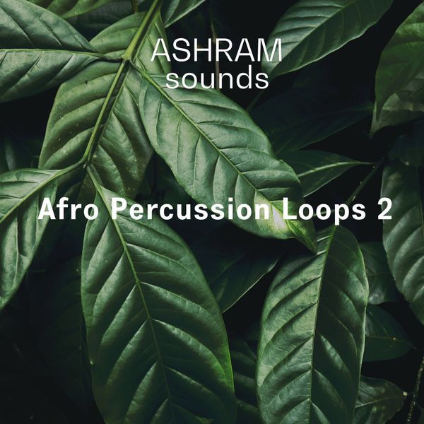 Afro Percussion Loops 2