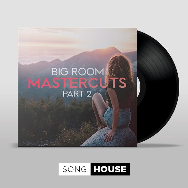 Big Room Mastercuts - Part 2