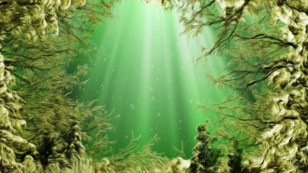 Magical Under Water Scene