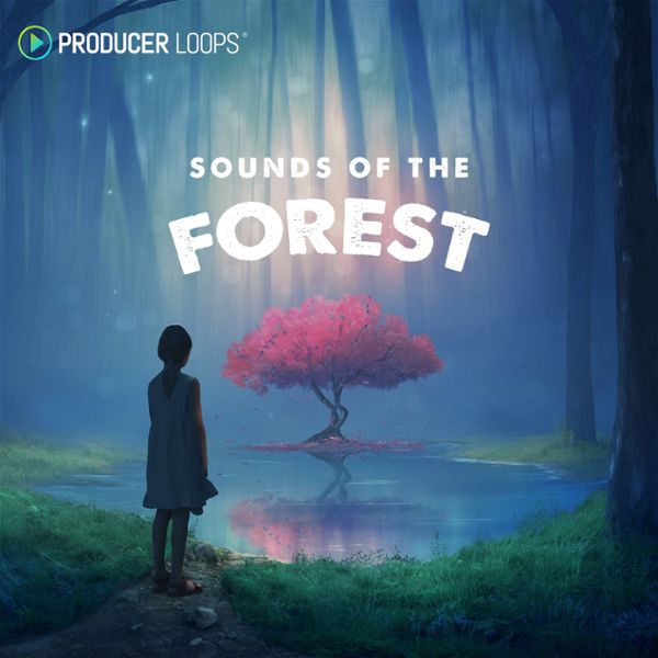 Sounds of the Forest