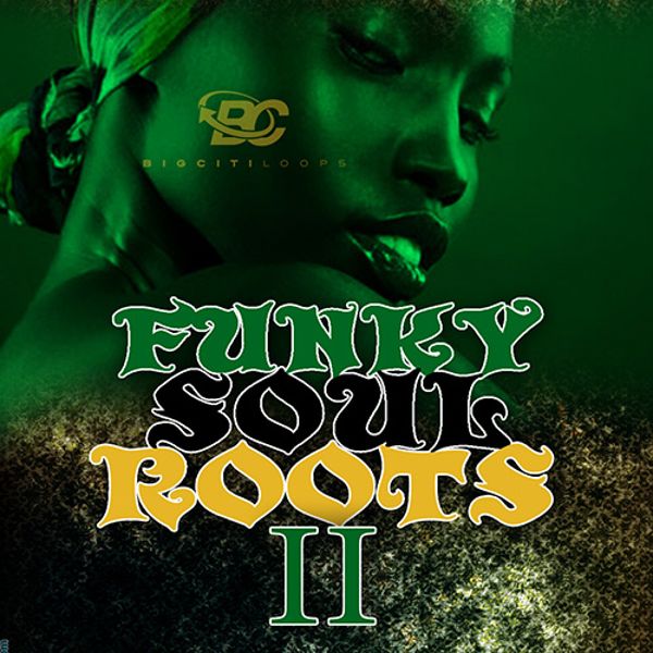 Funky Soul Roots 2