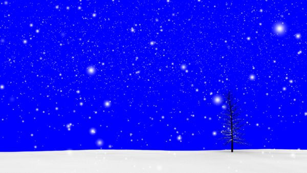 Snow Tree blue screen