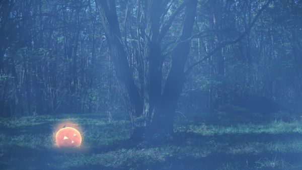 Halloween Background Loop 01