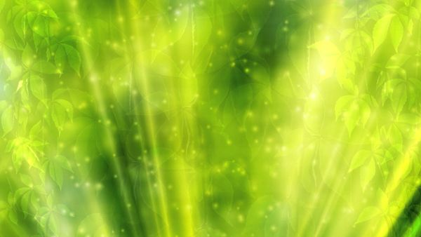 Green Nature Background