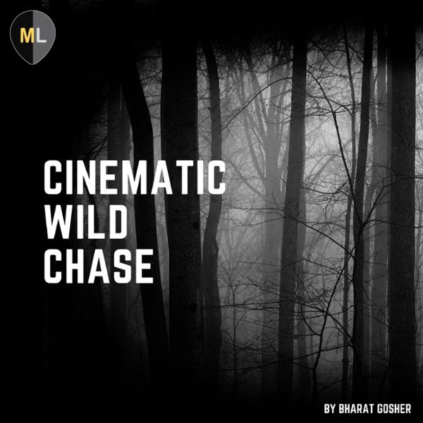 Cinematic Wild Chase Vol 1