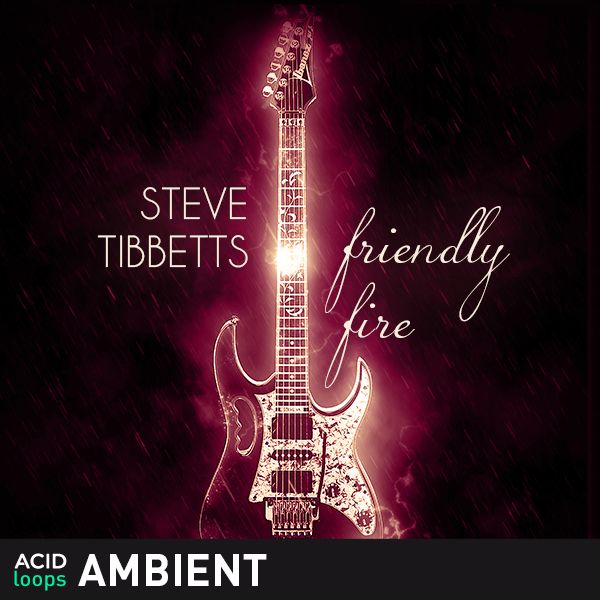 Steve Tibbets - Friendly Fire
