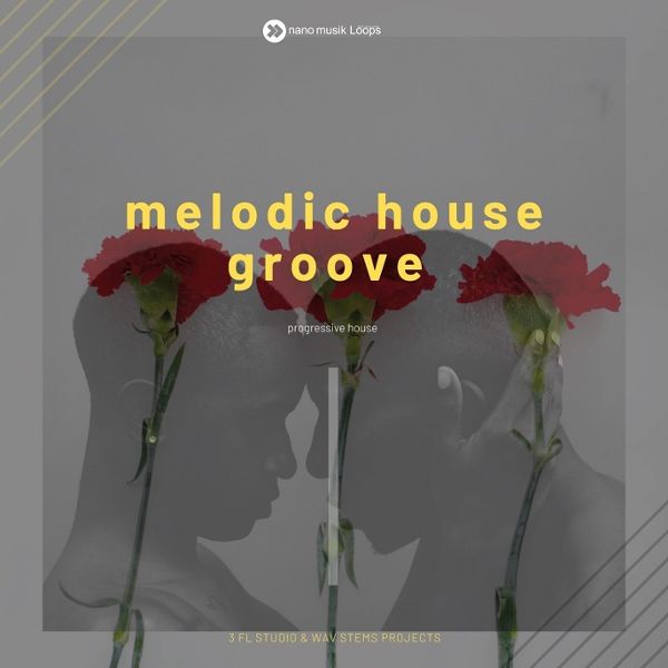 Melodic House Groove