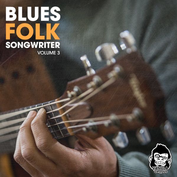 Blues Folk Songwriter Vol 3