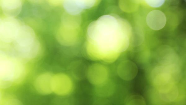 Green Bokeh