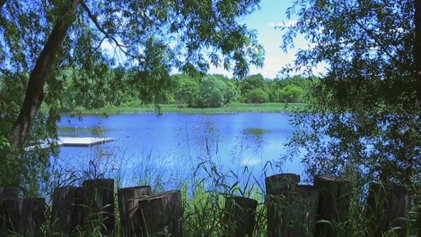 Lake Nature