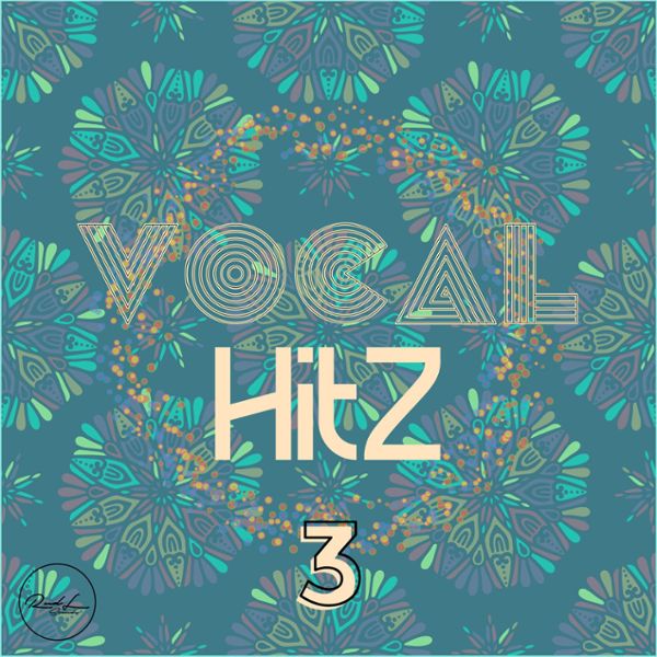 Vocal Hits Vol 3