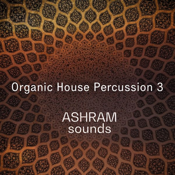 Organic House Percussion 3